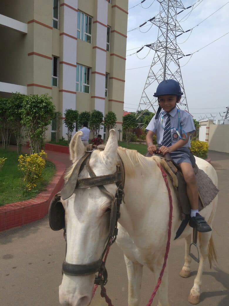 Horse riding facilities